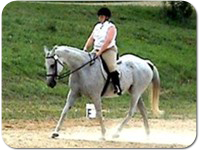 mg-hazel